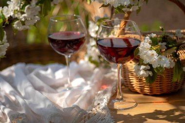 Baharda bahçede şarap tatma partisi. Güzel bir ilkbahar gününde, tahta bir masada, uzun, saplı bardaklarla, kırmızı şarapla dolu bir hayat. Kiraz çiçekleriyle çiçek açan dallar. Seçili odak