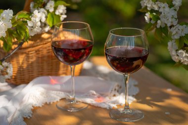 Baharda bahçede şarap tatma partisi. Güzel bir ilkbahar gününde, tahta bir masada, uzun, saplı bardaklarla, kırmızı şarapla dolu bir hayat. Kiraz çiçekleriyle çiçek açan dallar. Seçili odak