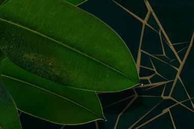 Kapalı bir yerde, mermer dokusunda yeşil ve nemli tropikal yapraklar var. Kintsugi tarzı çatlaklarla altın metalik ve Craquelure, tasarım duvar kağıdı, kartvizit, poster için çağdaş bir zemin olarak kullanılıyor.