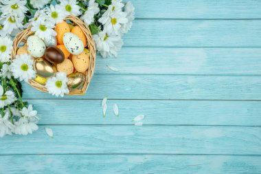 Paskalya tebrik kartı, takvim, poster, afiş. Çikolata, altın, dekoratif yumurta, papatya çiçeği, açık mavi tahta üzerinde kalp şeklinde sepet.
