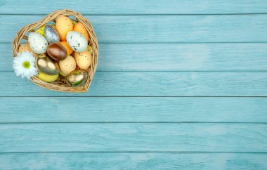 Paskalya tebrik kartı, takvim, poster, afiş. Çikolata, altın, dekoratif yumurta, açık mavi tahta üzerinde papatya çiçeği.