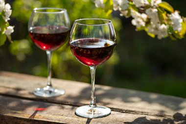 Güzel bir bahar gününde, tahta bir açık havada, uzun, kırmızı şarap kadehleriyle dolu bir hayat. Kiraz çiçekleriyle çiçek açan dallar. Seçili odak, kopyalama alanı