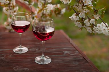 Güzel bir bahar gününde, tahta bir açık havada, uzun, kırmızı şarap kadehleriyle dolu bir hayat. Kiraz çiçekleriyle çiçek açan dallar. Seçili odak