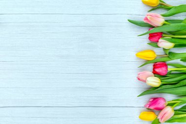 Ahşap bir yüzeyde laleler. Tebrik mesajları, reklam kampanyaları, çiçekçi kartvizitleri, hediyelik eşyalar, kumaş üzerine baskı, kapak için metin yerleştirme alanı olan çiçek arkaplanı.