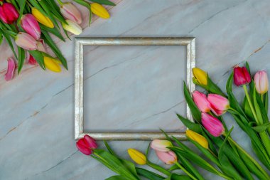 Mermer bir yüzeyde laleler. Tebrik mesajları, reklam kampanyaları, çiçekçi kartvizitleri, hediyelik eşyalar, kumaş üzerine baskı, kapak için metin yerleştirme alanı olan çiçek arkaplanı.