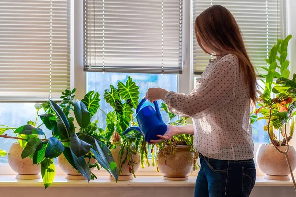 A young woman with long brown hair watering plants indoors. Fragment of an interior with a window, closed blinds and houseplants on the windowsill in the sunlight.