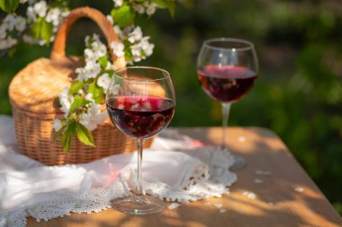 Baharda bahçede şarap tatma partisi. Güzel bir ilkbahar gününde, tahta bir masada, uzun, saplı bardaklarla, kırmızı şarapla dolu bir hayat. Kiraz çiçekleriyle çiçek açan dallar. Seçili odak