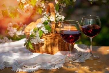 Baharda bahçede şarap tatma partisi. Güzel bir ilkbahar gününde, tahta bir masada, uzun, saplı bardaklarla, kırmızı şarapla dolu bir hayat. Kiraz çiçekleriyle çiçek açan dallar. Seçili odak, kopyalama alanı