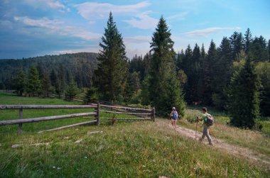 Ormana ve dağlara giden yürüyüş direkleri olan genç yürüyüşçüler. Turizm, açık hava aktiviteleri. 17 Kasım 'da Ulusal Yürüyüş Günü
