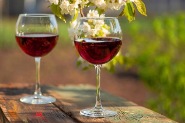 Güzel bir bahar gününde, tahta bir açık havada, uzun, kırmızı şarap kadehleriyle dolu bir hayat. Kiraz çiçekleriyle çiçek açan dallar. Seçili odak, kopyalama alanı