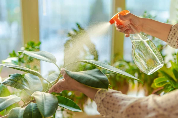 Lastik fabrikasının büyük yapraklarını püskürten kadın eller..