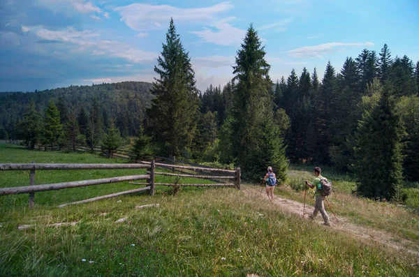 Ormana ve dağlara giden yürüyüş direkleri olan genç yürüyüşçüler. Turizm, açık hava aktiviteleri. 17 Kasım 'da Ulusal Yürüyüş Günü