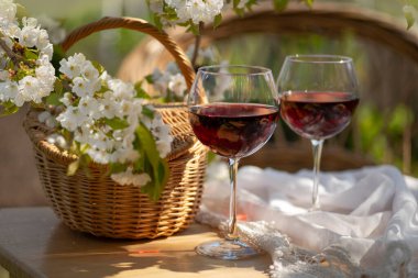 Baharda bahçede şarap tatma partisi. Güzel bir ilkbahar gününde, tahta bir masada, uzun, saplı bardaklarla, kırmızı şarapla dolu bir hayat. Kiraz çiçekleriyle çiçek açan dallar. Seçili odak