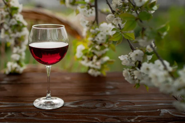 Güzel bir bahar gününde, tahta bir açık havada, uzun, kırmızı şarap kadehleriyle dolu bir hayat. Kiraz çiçekleriyle çiçek açan dallar. Seçili odak