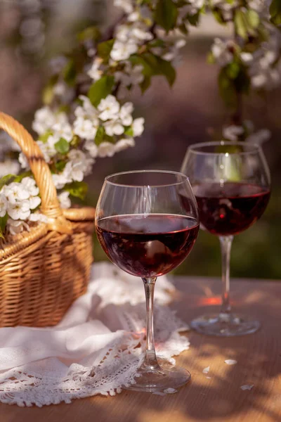 Wine Tasting Party in spring in the garden. Still life with long stem glasses with red wine on a wooden outdoor table in the beautiful springtime day. Blooming branches with cherry flowers. Selected focus
