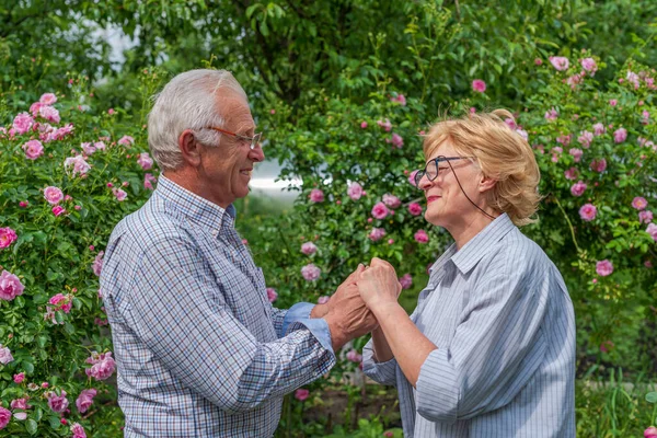 Gülümseyen yaşlı bayan ve erkek el ele tutuşup dua ediyor. Bahar ya da yaz güneşli gün.