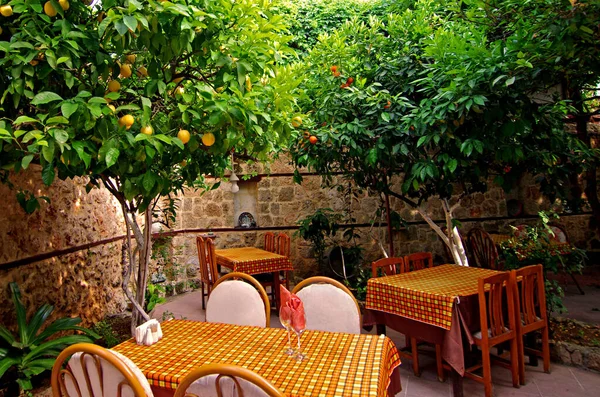 Обеденные Столы Апельсиновые Деревья Открытом Кафе Обслуживание Парк Природа Задний — стоковое фото