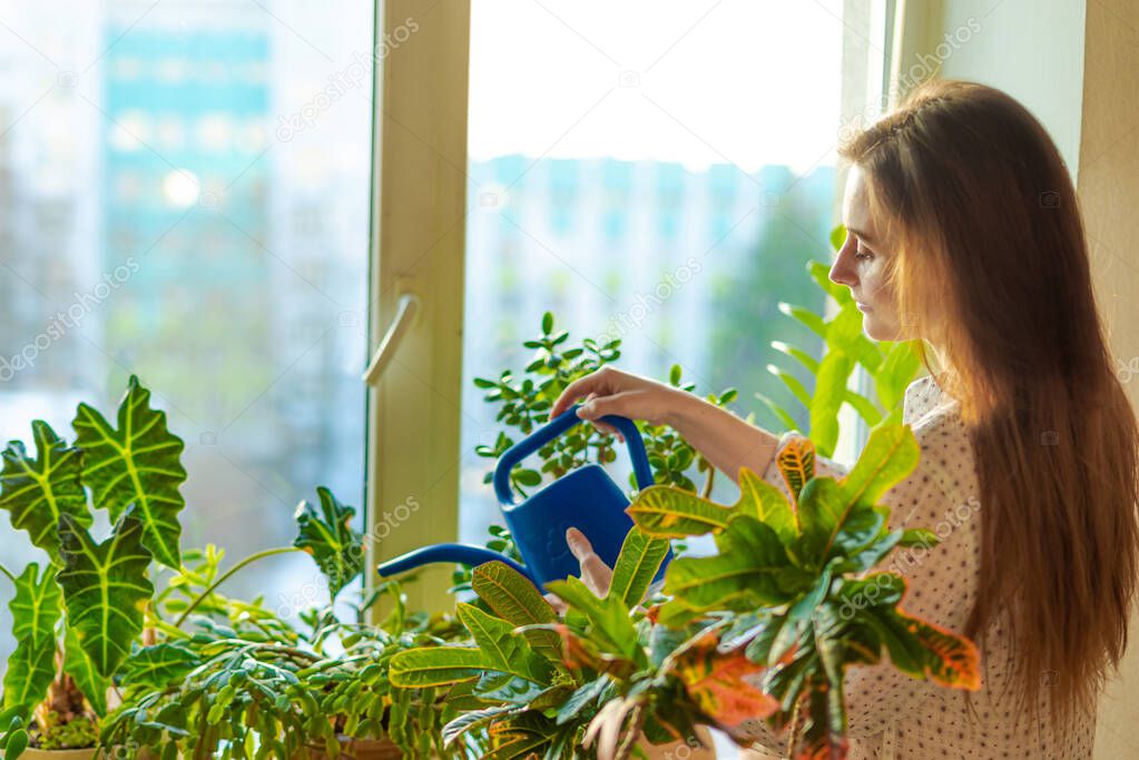 A young woman with long brown hair watering indoor potted fresh plants on the windowsill in the sunlight.
