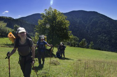 Dağlarda bir grup turist geziye çıktı. Kontrastlı ışık. Turizm doğa yürüyüşü. 17 Kasım 'da Ulusal Yürüyüş Günü