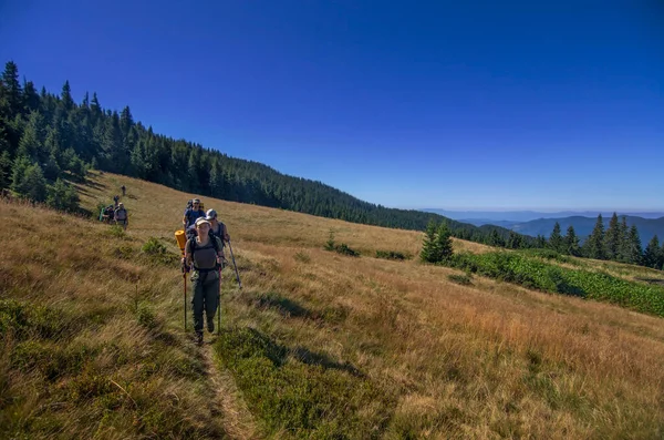 Homens Mulheres Turistas Descem Colina Panorama Montanha Com Abetos Campos — Fotografia de Stock