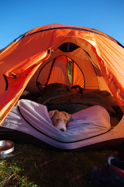 Femme Chien Détendent Refroidissant Dans Une Tente Orange Camp Tourisme — Photo