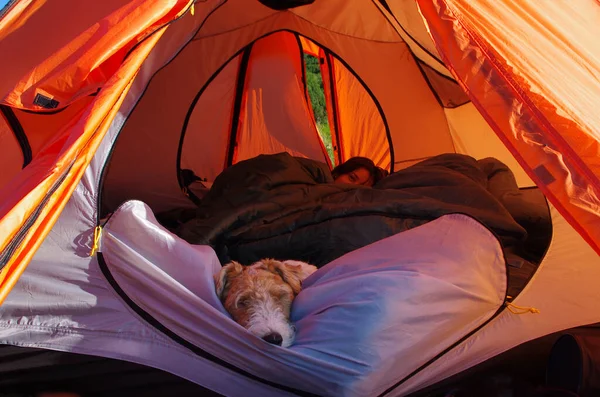 Kobieta Pies Relaksują Się Pomarańczowym Namiocie Obozie Działalność Turystyczna Świeżym — Zdjęcie stockowe