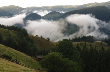 Yazın ormanlı dağ manzarası. Sisteki köknar ağaçlarının siluetleri, kozalaklı ağaçlar, bahar zamanı. Ekolojik altyapı ve duvar kağıtları için uygun.