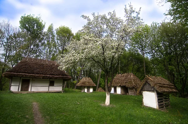 Vernacular Folk Architecture Wooden Houses Village Mountains Forest Traditional Construction — Stock Photo, Image