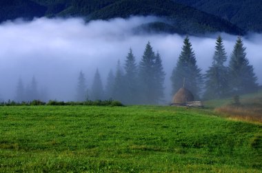 Yazın bir tarlada saman yığını. Tarım, hasat. Bir tarlaya sahip manzara, güzel arkaplan.