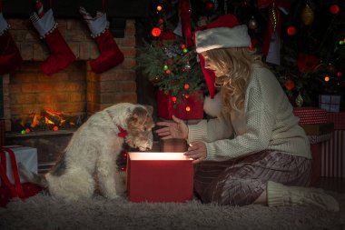 Şöminenin ve Noel ağacının yanında köpek ve genç bir kadın Noel Baba 'nın şenlikli ahşap evinin içinde hediye kutuları. Noel 'in neşeli havası. Bir tebrik kartı için uygun