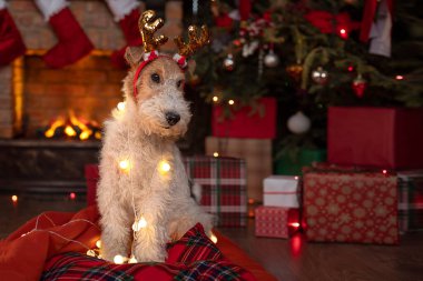 Şöminenin yanında köpek ve Noel ağacı, Noel Baba 'nın içinde hediye kutuları şenlikli ahşap ev. Noel 'in neşeli havası. Bir tebrik kartı için uygun