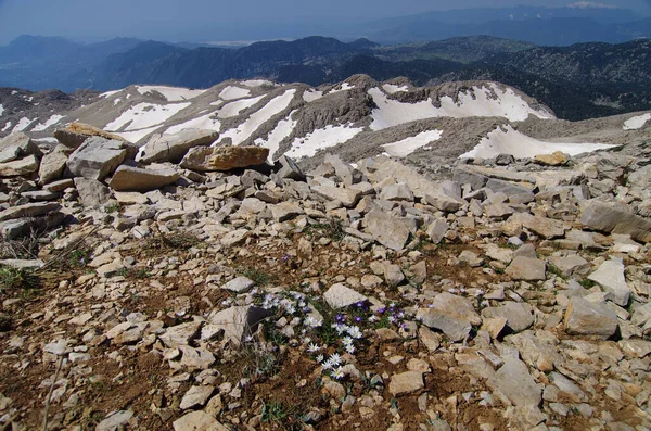 High Mountains Snow Summer Rocks Stones Mountain Panoramic Landscape Clouds — Stock Photo, Image