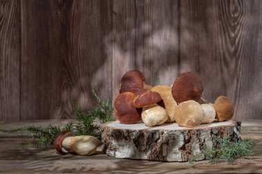 Ahşap bir arka planda taze boletus mantarları. Mantar avlama zamanı. Yenilebilir mantar topluyorum. Diyet makrobiyotik sağlıklı gıda konsepti