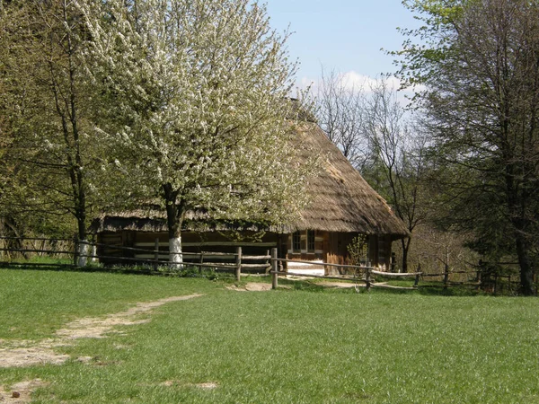 Vernacular Folk Architecture Wooden Houses Village Mountains Forest Traditional Construction — Stock Photo, Image