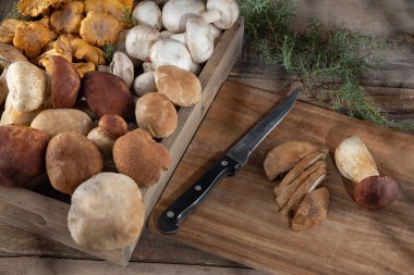 Tepside taze mantar çeşitleri, sonbahar mantar hasadı. Kırsal çiftlik tarzı mantar avlama zamanı. Yabani boletus, chanterelle mantarı, aşçılık şampiyonu, sağlıklı beslenme.