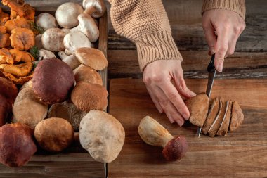 Tepside taze mantar çeşitleri, sonbahar mantar hasadı. Kırsal çiftlik tarzı. Bıçakla mantar kesen eller. Yabani boletus, chanterelle mantarı, aşçılık şampiyonu, sağlıklı beslenme.