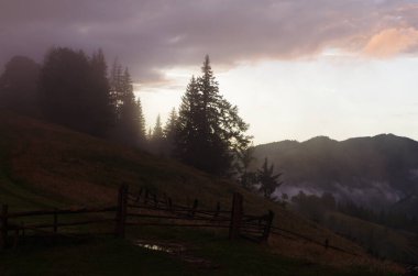 Yazın ormanlı dağ manzarası. Sisteki köknar ağaçlarının siluetleri, kozalaklı ağaçlar, bahar zamanı. Ekolojik altyapı ve duvar kağıtları için uygun.