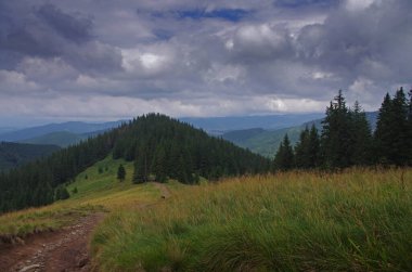 Yazın ormanlı dağ manzarası. Sisteki köknar ağaçlarının siluetleri, kozalaklı ağaçlar, bahar zamanı. Ekolojik altyapı ve duvar kağıtları için uygun.