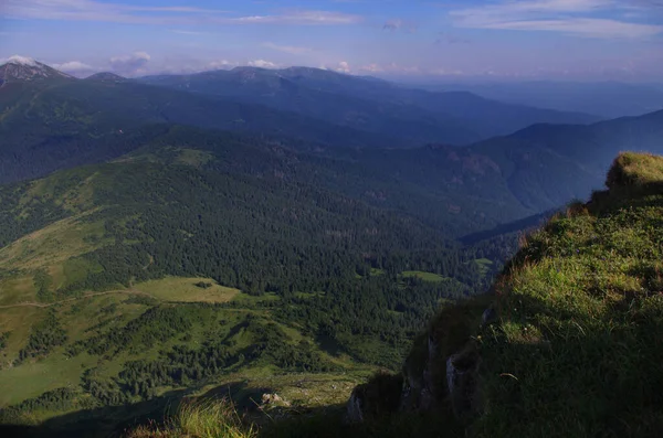 Yazın ormanlı dağ manzarası. Sisteki köknar ağaçlarının siluetleri, kozalaklı ağaçlar, bahar zamanı. Ekolojik altyapı ve duvar kağıtları için uygun.