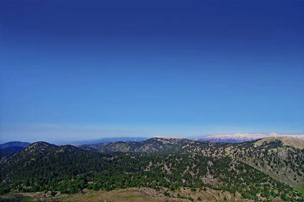 Berglandschaft Mit Wald Sommer Silhouetten Von Tannen Nebel Nadelbäume Frühlingszeit — Stockfoto