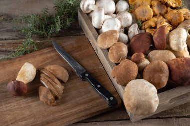 Tepside taze mantar çeşitleri, sonbahar mantar hasadı. Kırsal çiftlik tarzı mantar avlama zamanı. Yabani boletus, chanterelle mantarı, aşçılık şampiyonu, sağlıklı beslenme.
