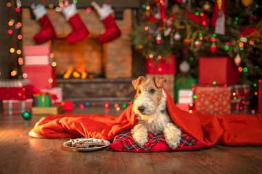 Şöminenin yanında köpek ve Noel ağacı, Noel Baba 'nın içinde hediye kutuları şenlikli ahşap ev. Noel 'in neşeli havası. Bir tebrik kartı için uygun