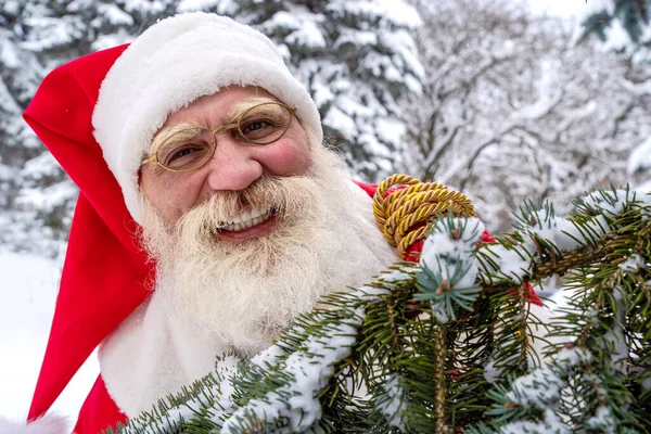 Рождественский Санта Клаус Настоящей Бородой Северном Лесу Зимой Среди Заснеженных — стоковое фото