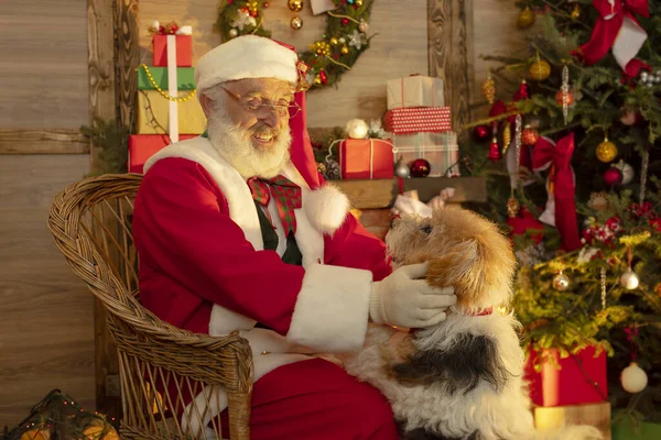 圣诞老人 带着狗靠近壁炉和圣诞树 木屋内喜庆的室内空气 新年喜庆的气氛 圣诞的精神 长得象真的白胡子的老人 圣诞老人 — 图库照片