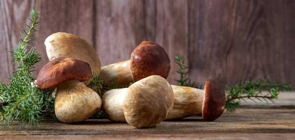 Fresh boletus mushrooms on a wooden background still life. Mushroom hunting time. Picking edible fungus. Diet macrobiotic healthy food concept