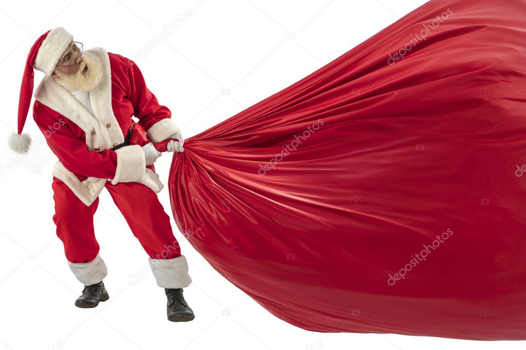 Santa Claus on white background isolated. Senior male actor old man with a real white beard in the role of Father Christmas pulling huge red Christmas big gift bag.