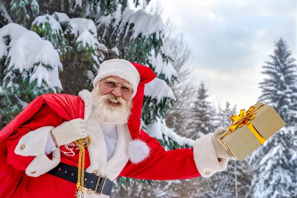 Noel Baba Noel Arifesinde Karlı Ormanda Gerçek Beyaz Sakallı Aceleci — Stok fotoğraf