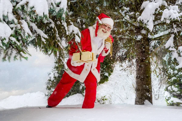 Χριστούγεννα Άγιος Βασίλης Πραγματική Γενειάδα Στο Βόρειο Δάσος Χειμώνα Μεταξύ — Φωτογραφία Αρχείου