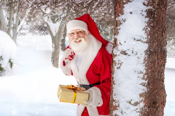 Санта Клаус Канун Рождества Снежном Лесу Поспешный Старшеклассник Настоящей Белой — стоковое фото