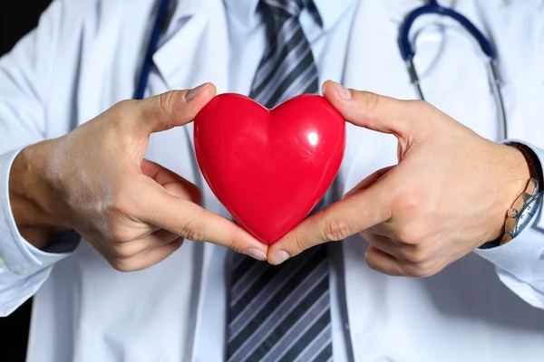 Male medicine doctor wearing hold in hands red toy heart — Stock Photo, Image